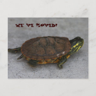 IMG_1195, WIR HABEN BEWEGT! ANKÜNDIGUNGSPOSTKARTE