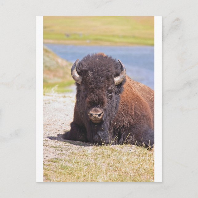 IMG_1227_1 POSTKARTE (Vorderseite)