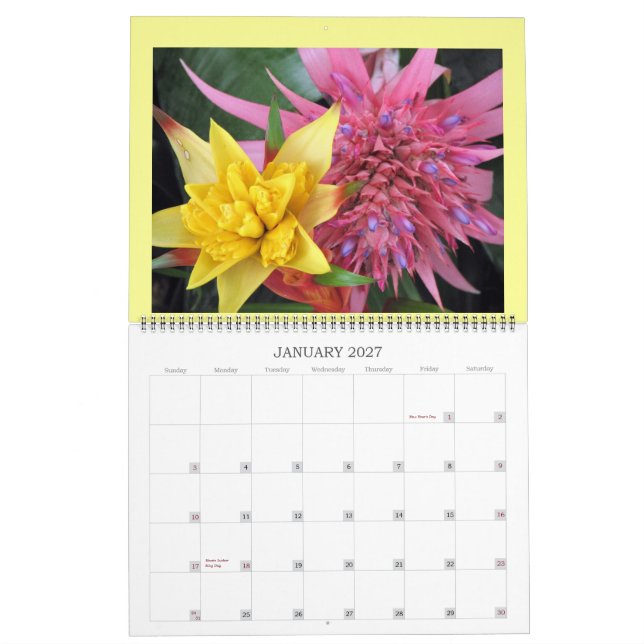 IMG_1311, 2008 KALENDER (Jan 2027)