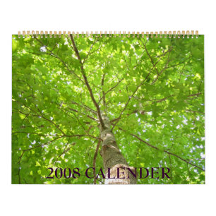 IMG_1311, 2008 KALENDER