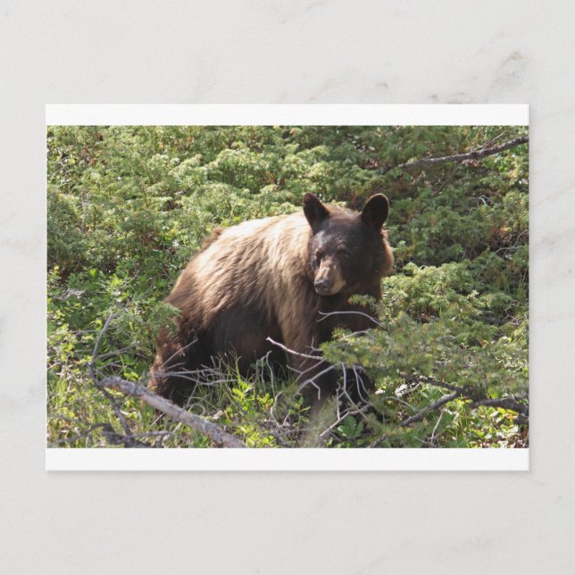 IMG_1319 POSTKARTE (Vorderseite)