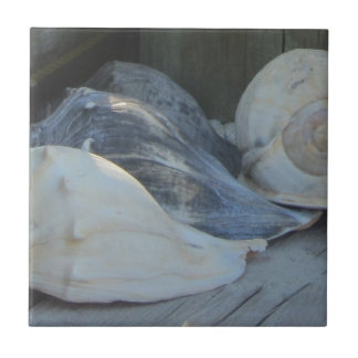 IMG_1498 (3).jpg Fliese