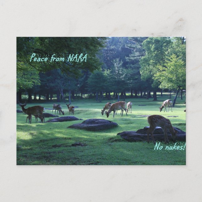 IMG_1664 NARA POSTKARTE (Vorderseite)