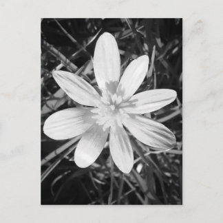 IMG_20150324_210135.jpg Postkarte