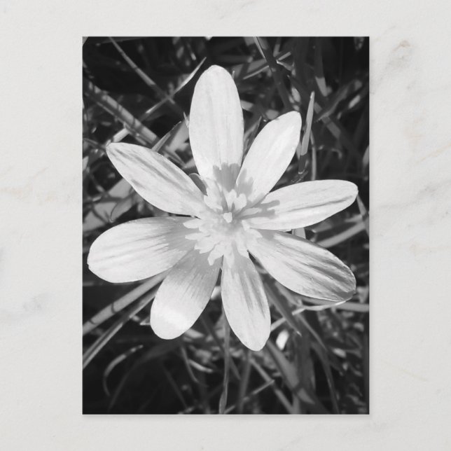 IMG_20150324_210135.jpg Postkarte (Vorderseite)