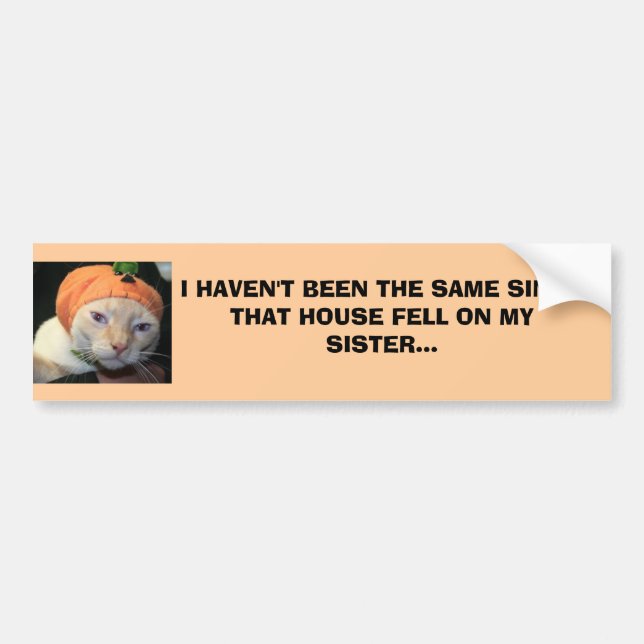 IMG_2073, BIN ICH NICHT DAS GLEICHE SINCETHAT HOU… AUTOAUFKLEBER (Vorne)