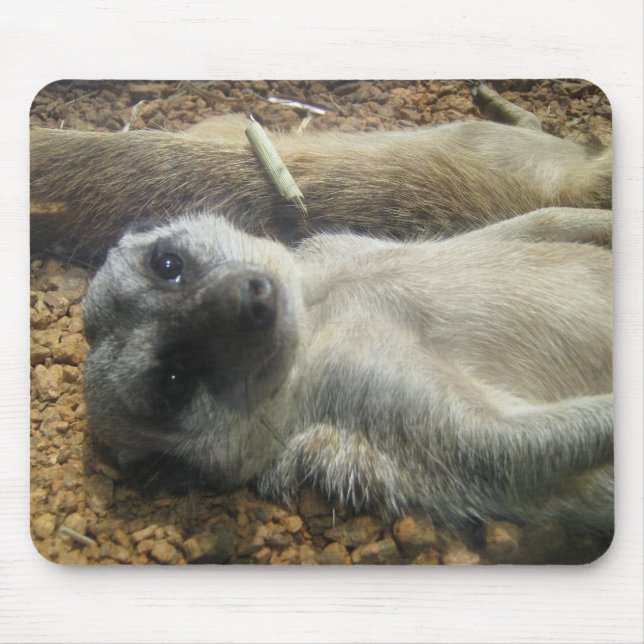 IMG_2196 MOUSEPAD (Vorne)