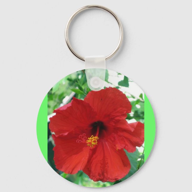 IMG_2905_editiert Schlüsselanhänger (Vorderseite)