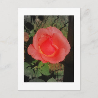 IMG_3046 POSTKARTE