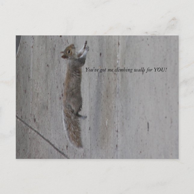 IMG_3995, Du hast mir got, Wände für DICH zu klett Postkarte (Vorderseite)