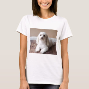 IMG_4050 T-Shirt