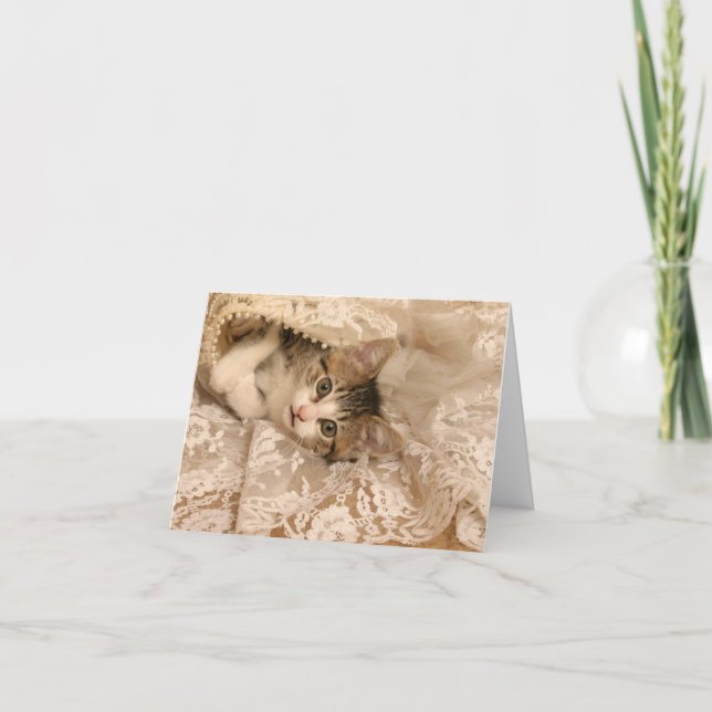 IMG_4121_-_Marygold_-_cropped - 12x18 Karte (Vorderseite)