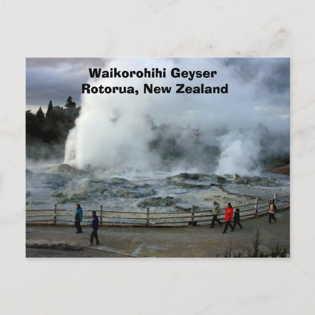 IMG_4274, Waikorohihi Geyser Rotorua, Neuseeland Postkarte (Vorderseite)