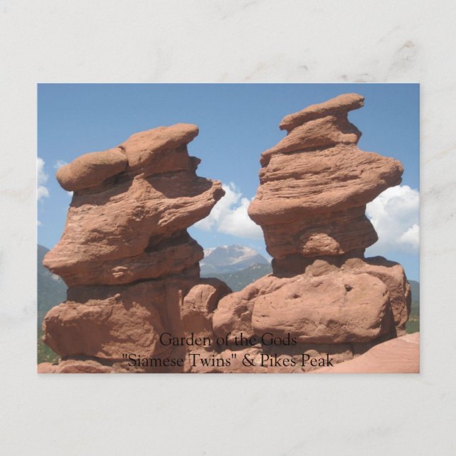 IMG_4295, Garten der Götter "Siamische Twins" & .. Postkarte (Vorderseite)