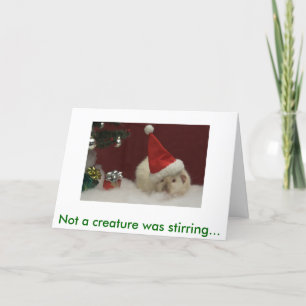 IMG_483201, nicht ein Geschöpf war… rührend Feiertagskarte