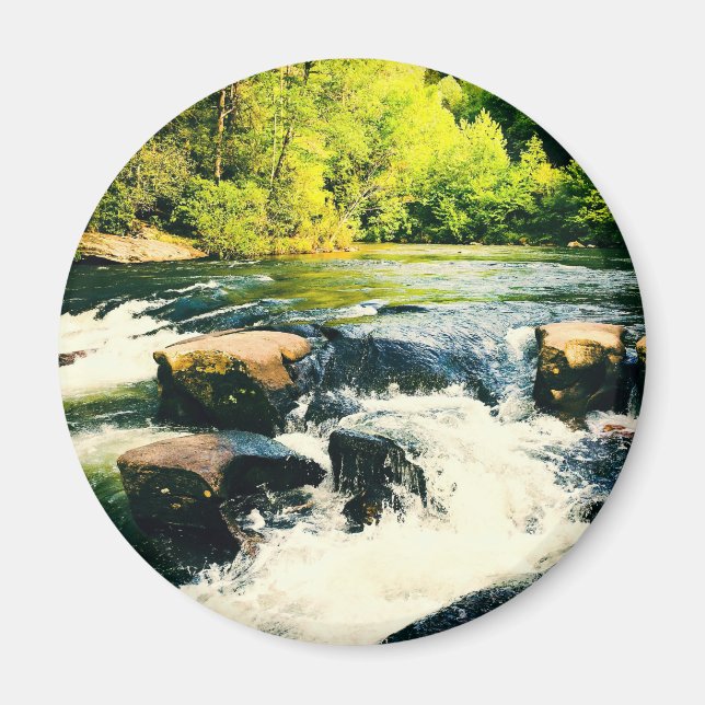 IMG_5011.JPG MAGNET (Vorne)