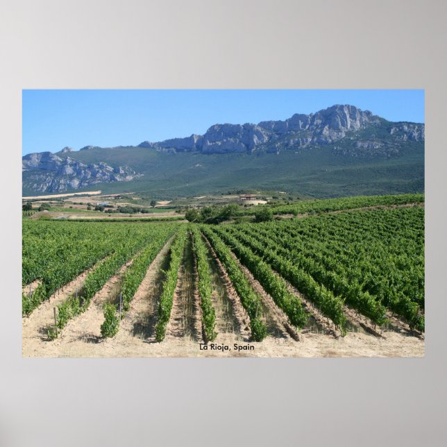 IMG_6159, La Rioja, Spanien Poster (Vorne)