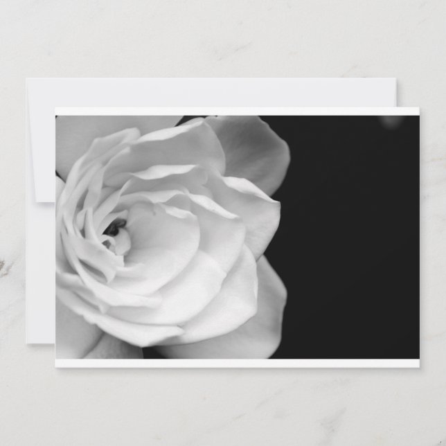 IMG_6537 (Vorderseite)