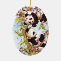 IMG_7386.PNG niedlich und bunter Panda entworfen