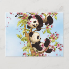 IMG_7386.PNG niedlicher und farbenfroher Panda Postkarte