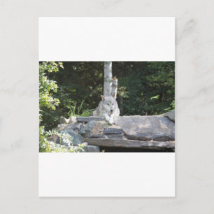 IMG_7954 POSTKARTE