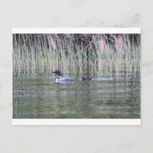 IMG_8448_1 POSTKARTE