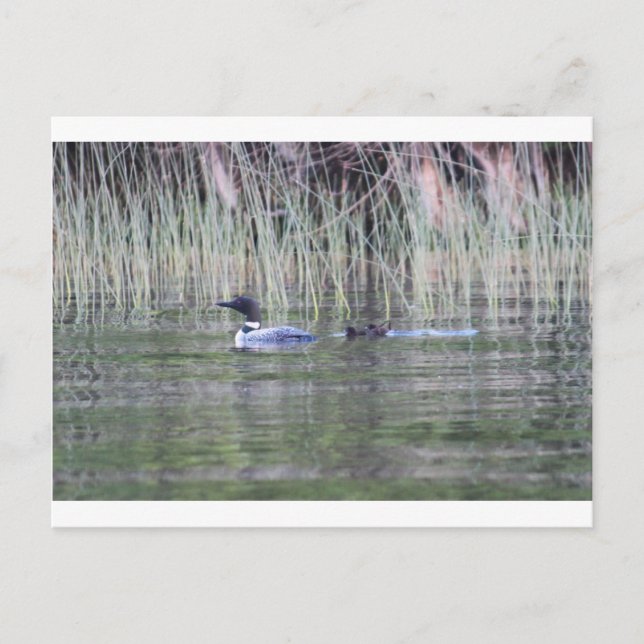 IMG_8448_1 POSTKARTE (Vorderseite)