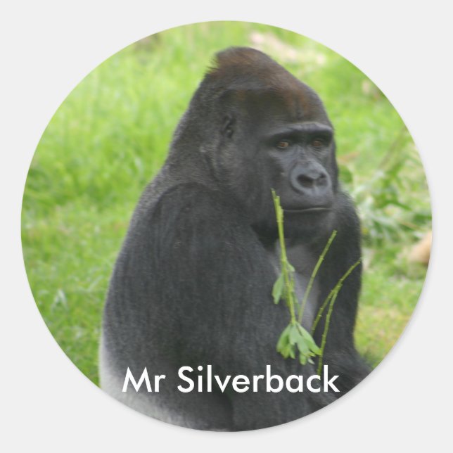 IMG_8810, Herr Silverback Runder Aufkleber (Vorderseite)