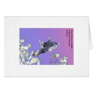 IMG_9114webaltwithout