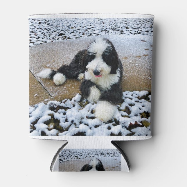 IMG_9916 DOSENKÜHLER (Vorderseite)