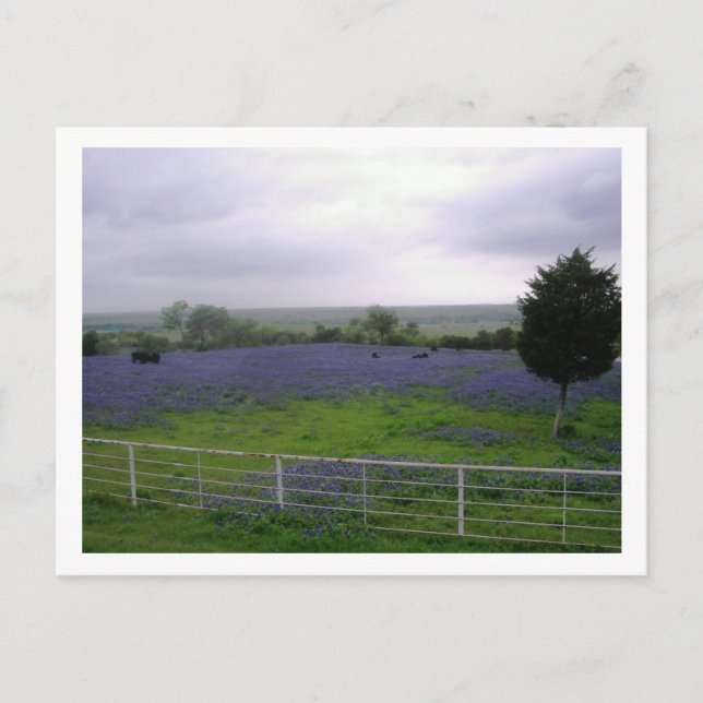 IMGP4300 POSTKARTE (Vorderseite)