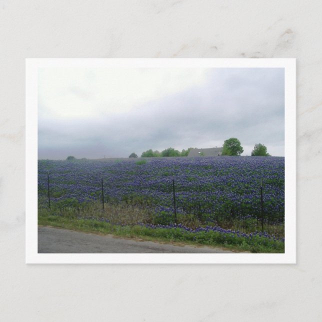 IMGP4303 POSTKARTE (Vorderseite)