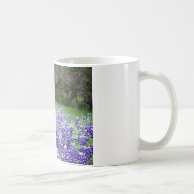 IMGP4308 TASSE (Rechts)