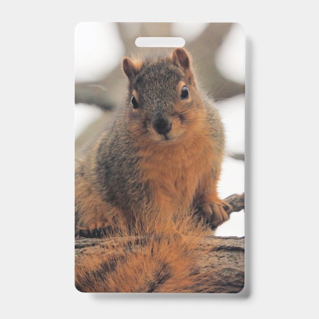 Imitat possum ausweis (Vorderseite)