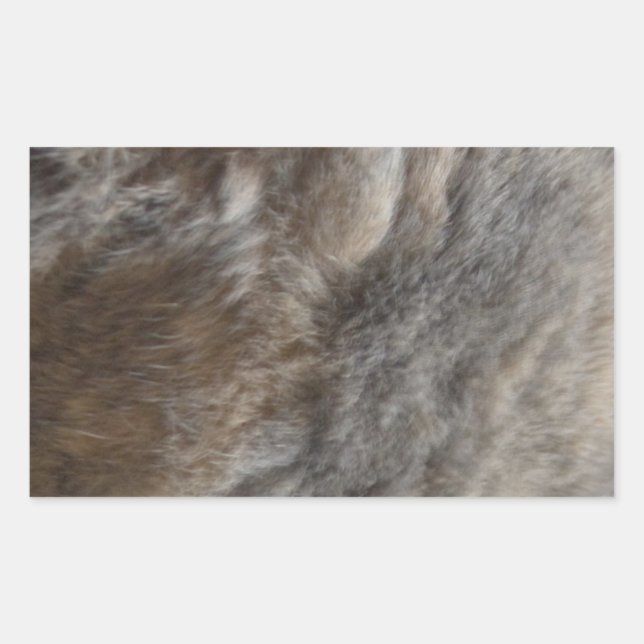 Imitate Cat Fur Look Rechteckiger Aufkleber (Vorderseite)