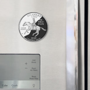Imitate Delaware Staat Quarter Magnet
