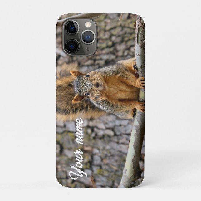 Imitate-Fuchs-Eichhörnchen Case-Mate iPhone Hülle (Rückseite)