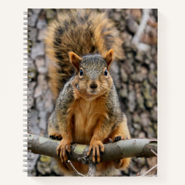 Imitate-Fuchs-Eichhörnchen Notizbuch (Vorderseite)