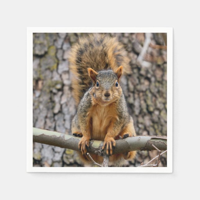 Imitate-Fuchs-Eichhörnchen Serviette (Vorderseite)