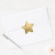 Imitate für unbedruckte Gold-Blank-Vorlage Stern-Aufkleber (Umschlag)