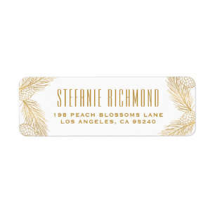 Imitate Golden Fossilienmuseum Pinecone und Pinako