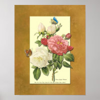 Imitate Grunge Poster, rot-weiße botanische Rose