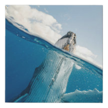 Imitate überzogene Canvas Print - Whale Break