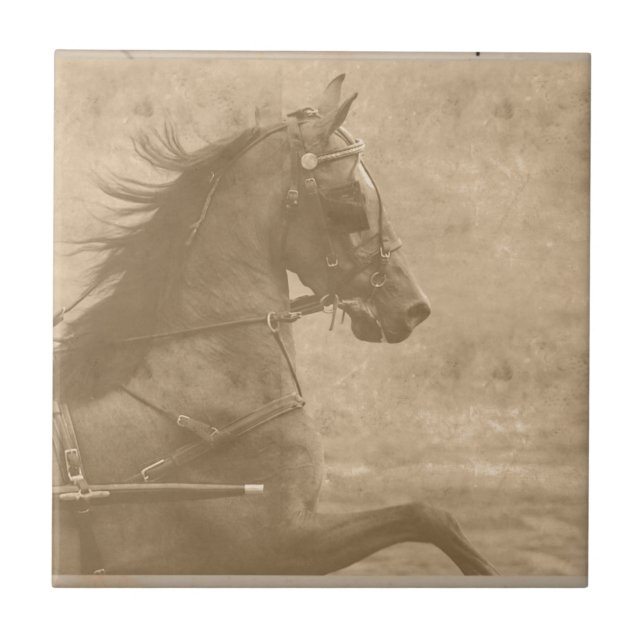 Imitate Vintag Hackney Fliese (Vorderseite)