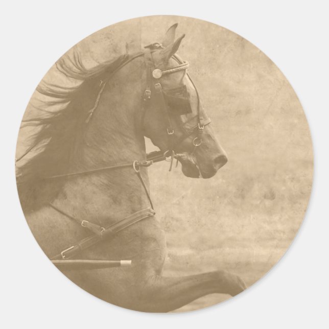 Imitate Vintag Hackney Runder Aufkleber (Vorderseite)