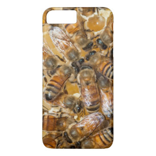 Imkerei auf Arlos Honey Farm iPhone 8 Plus/7 Plus Hülle