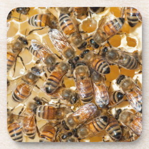 Imkerei auf Arlo's Honey Farm Getränkeuntersetzer