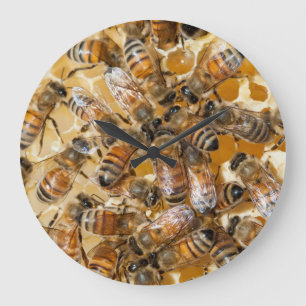 Imkerei auf Arlo's Honey Farm Große Wanduhr