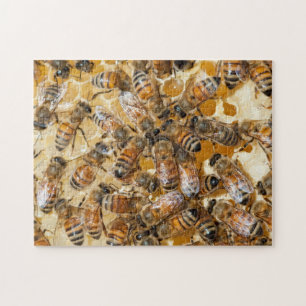 Imkerei auf Arlo's Honey Farm Puzzle