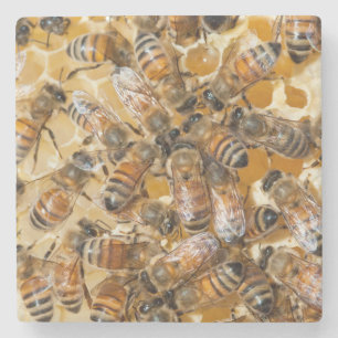 Imkerei auf Arlo's Honey Farm Steinuntersetzer